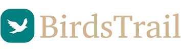 Birdstrail header logo