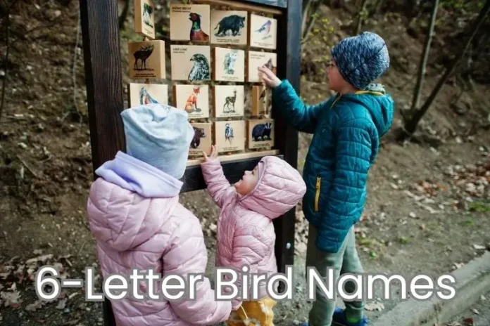 6 letter birds