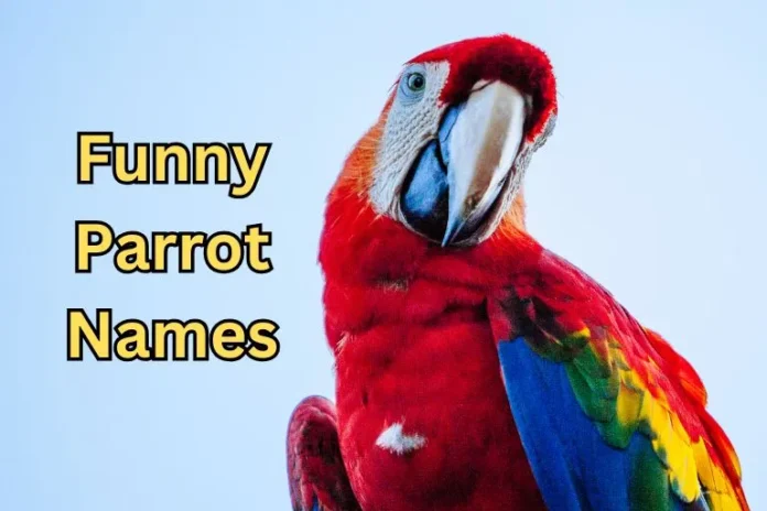 Funny Parrot Names