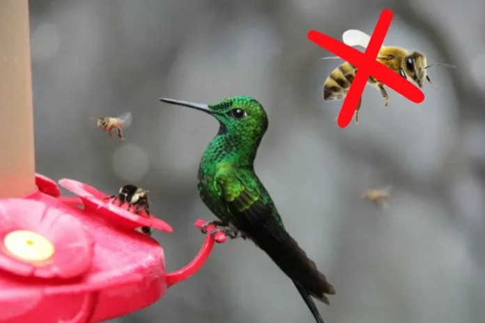 how to keep bees away from hummingbird feeders